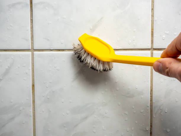Best Best Mold Removal Companies  in Heidelberg, PA