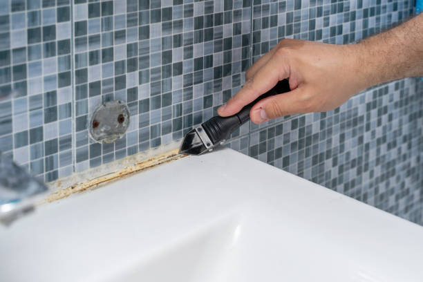 Best Mold Removal Specialists  in Heidelberg, PA
