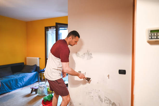 Home Mold Removal in Heidelberg, PA
